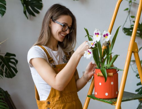 GIARDINAGGIO, QUANTI BENEFICI PER LA NOSTRA SALUTE!