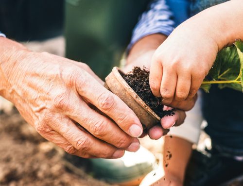 L’AUTUNNO È ARRIVATO, PREPARIAMO ORTI E GIARDINI