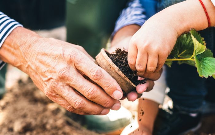 L'autunno è arrivato, prepariamo orti e giardini