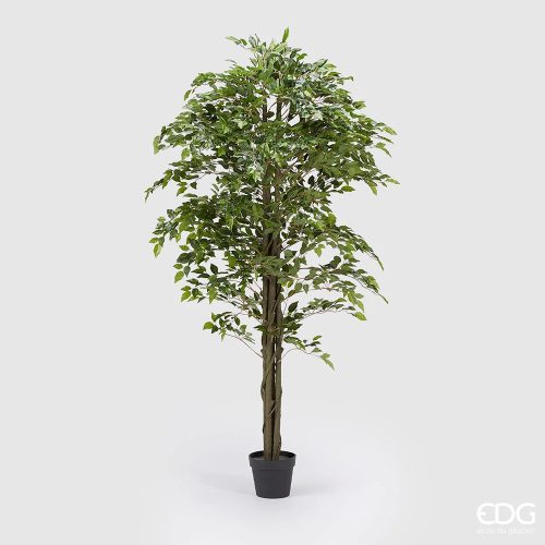 Immagine pianta artificiale Ficus Beniamin Edg