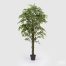 Immagine pianta artificiale Ficus Beniamin Edg