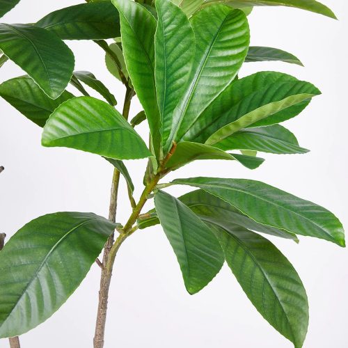 Immagine in dettaglio delle foglie della pianta artificiale Elaercarpus