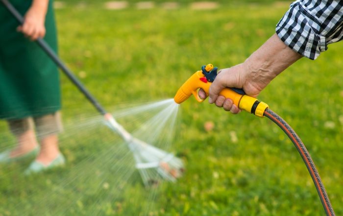 Quando e quanto irrigare per un giardino bello e sano