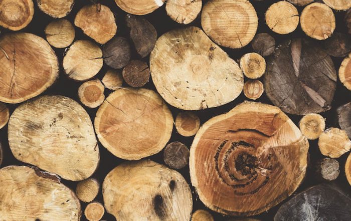 i difetti del legno che devi saper riconoscere